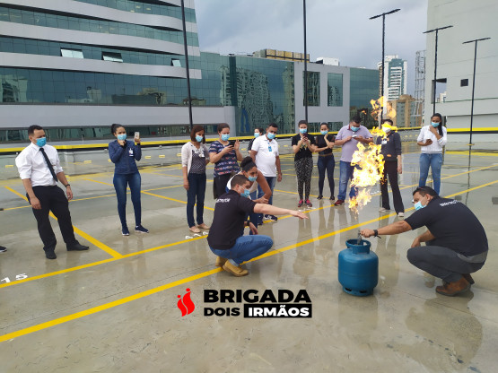 Brigada Voluntária