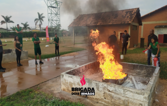 Brigada Voluntária Grupo PROFARMA! 